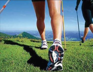 Arriva il Nordic Walking in Val di Zoldo!